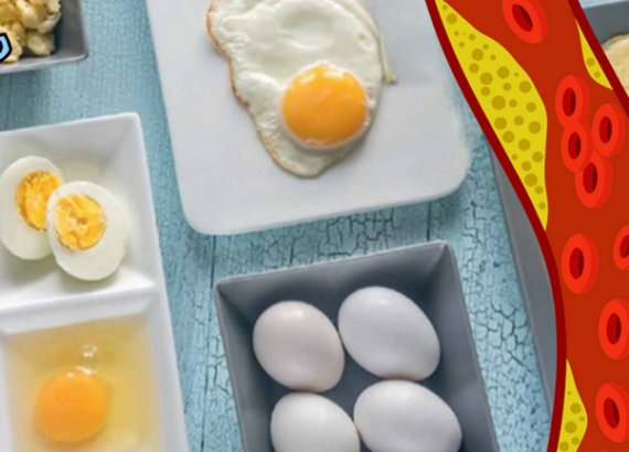 Combien d'œufs peut-on consommer sans affecter le taux de cholestérol