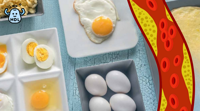Combien d'œufs peut-on consommer sans affecter le taux de cholestérol
