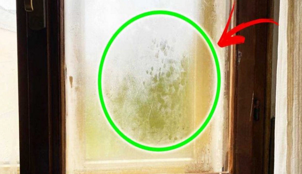 Conseils pour prévenir la condensation sur les vitres et les fenêtres en période de froid