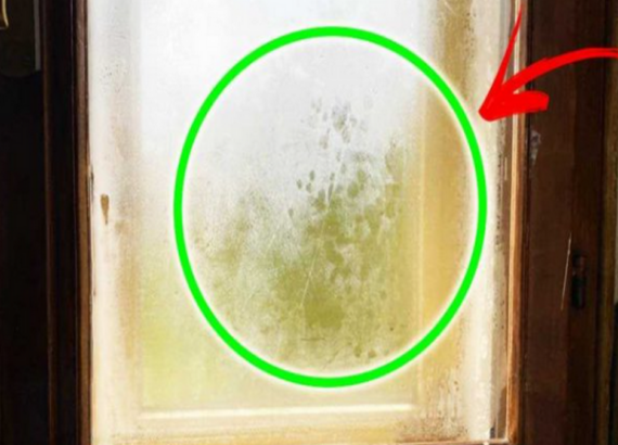 Conseils pour prévenir la condensation sur les vitres et les fenêtres en période de froid