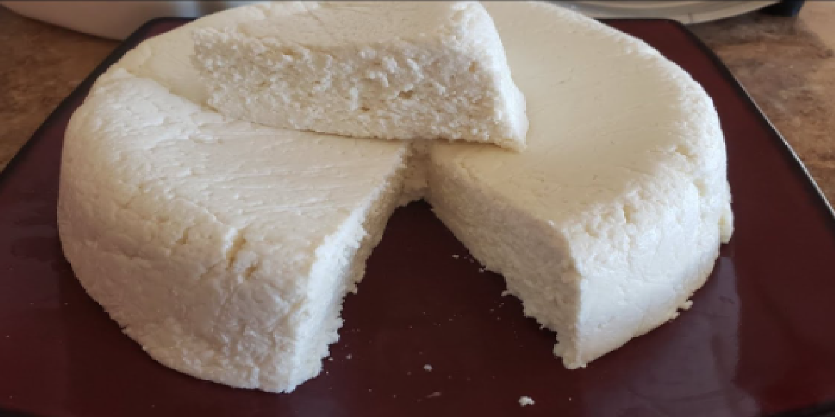 Fromage frais 1 yaourt au Thermomix