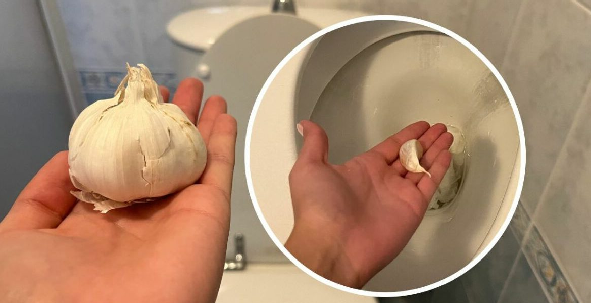 Astuce Gousse d’ail jetez-la dans les toilettes avant d’aller au lit !