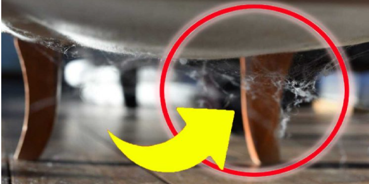 Toiles d'araignées dans la maison inutile d'utiliser le balai, vaporisez simplement cette solution !