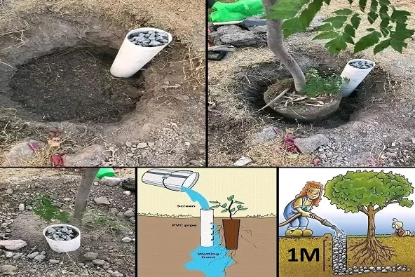 Optimisez l'Arrosage de Votre Jardin avec l'Ingéniosité des Tuyaux en PVC