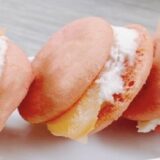 Macarons au Saumon et Fromage Frais au Thermomix